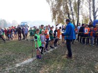 rejonowe biegi przelajowe dz i chl-10