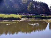 powiatowe indyw biegi przelajowe dz i chl-45