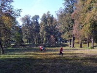 powiatowe druzynowe mistrz w biegach przelajowych 2018-13