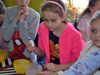 wycieczka kl IIa i IIb do pasieki w lipkach-109