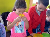 wycieczka kl IIa i IIb do pasieki w lipkach-122
