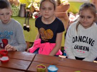 wycieczka kl IIa i IIb do pasieki w lipkach-170