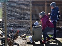 wycieczka kl IIa i IIb do pasieki w lipkach-180