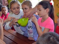 wycieczka kl IIa i IIb do pasieki w lipkach-66