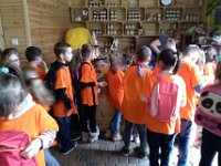 wycieczka kl IC do pasieki w lipkach-162