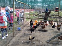wycieczka kl IC do pasieki w lipkach-166