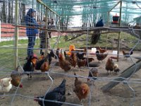 wycieczka kl IC do pasieki w lipkach-169