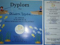 konkurs zlota rybka-11