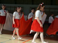 narodowe swieto konstytucji 3-maj-176