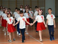 narodowe swieto konstytucji 3-maj-66