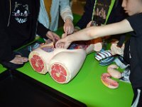 wycieczka kl 2 do toruniaj-140