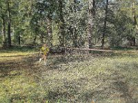 biegi przelajowe druzyna-6