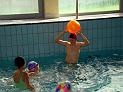 bedkow_66