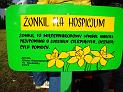 zonkil_29