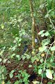 sprz_sw-4