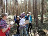 z ekologia po lesie 2013-37