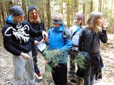 z ekologia po lesie 2013-60