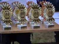 powiatowe indyw biegi przelajowe dz i chl 2016-31
